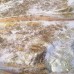 Ткань Трикотаж масло напыление (белый-золото)